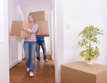 Office Removal Experts